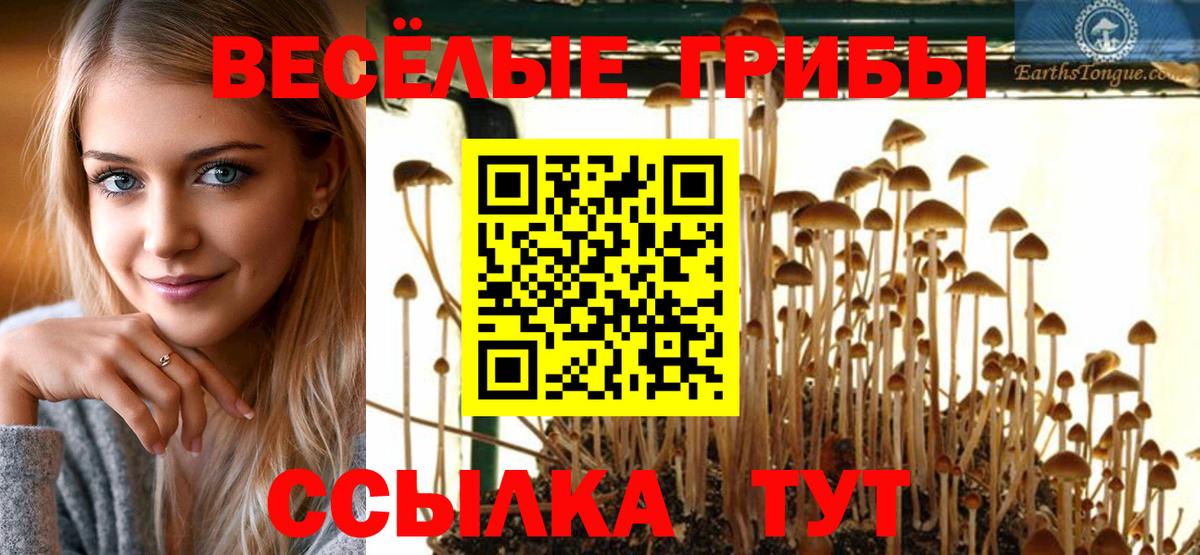 Галлюциногенные грибы мухоморы  Вход с VPN  Владивосток 